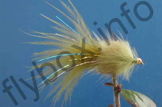 Stewart's Millionaire Taddy Olive BH